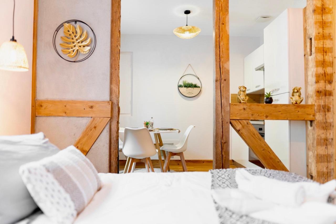 Au Petit Lion, Colmar Centre Garage Gratuit Apartment Exterior photo