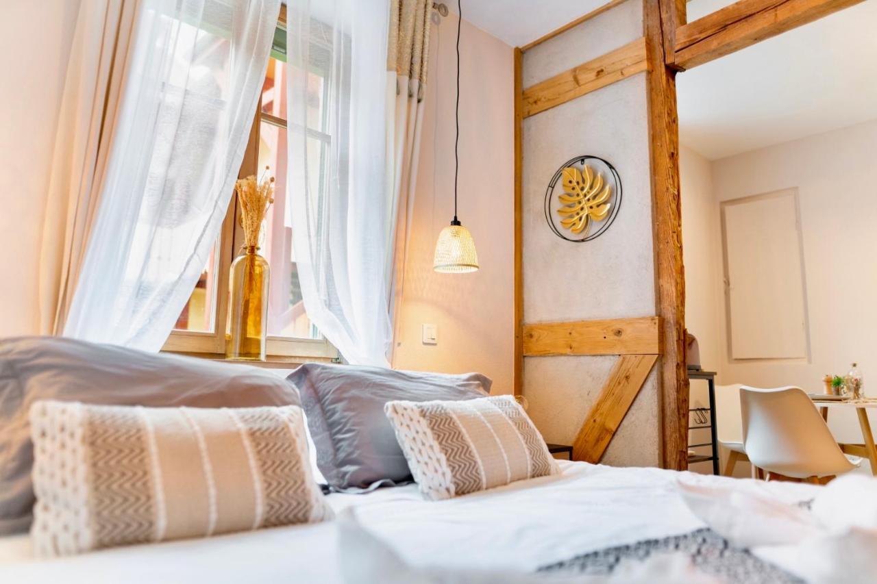 Au Petit Lion, Colmar Centre Garage Gratuit Apartment Exterior photo